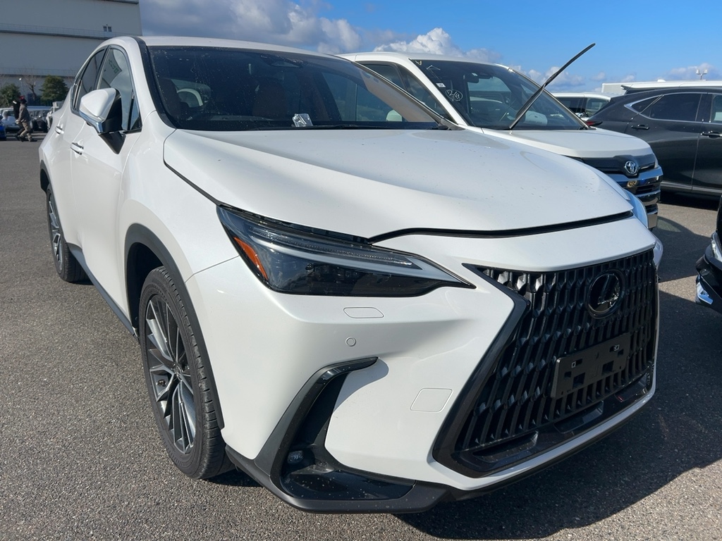 2023 Lexus NX250 2.5L VERSION L — photo 2 — for sale in Wilayah Persekutuan, Kuala Lumpur