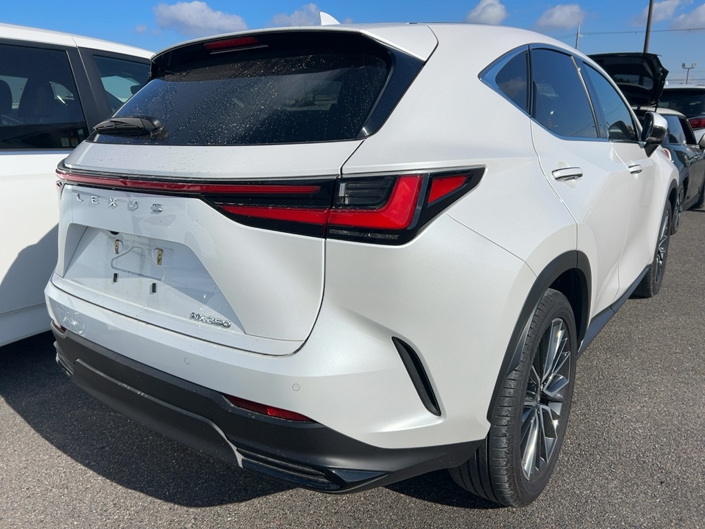 2023 Lexus NX250 2.5L VERSION L — photo 4 — for sale in Wilayah Persekutuan, Kuala Lumpur