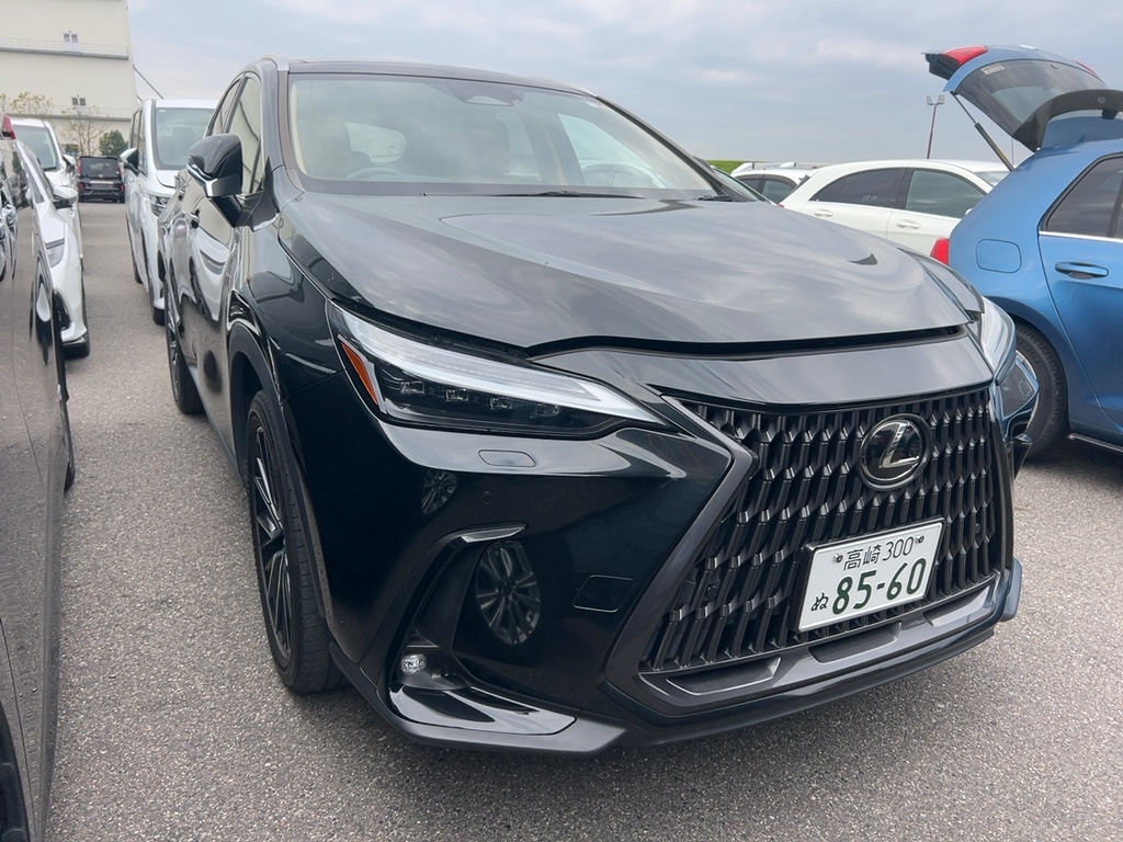 2022 Lexus NX250 2.5L VERSION L in Black with VERSION L, BLACKS, 3 LED for sale in Wilayah Persekutuan, Kuala Lumpur