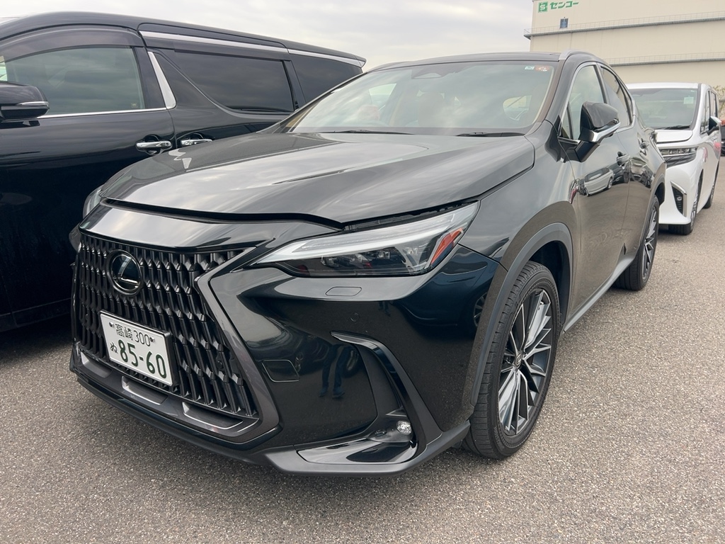 2022 Lexus NX250 2.5L VERSION L — photo 2 — for sale in Wilayah Persekutuan, Kuala Lumpur