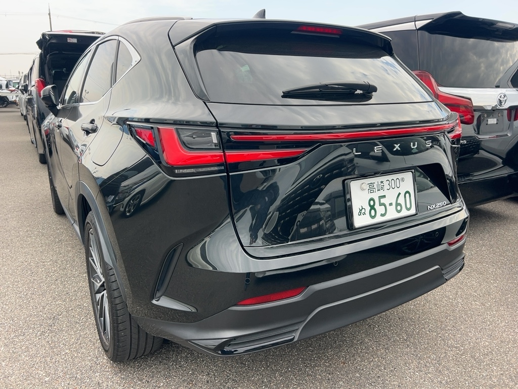 2022 Lexus NX250 2.5L VERSION L — photo 4 — for sale in Wilayah Persekutuan, Kuala Lumpur