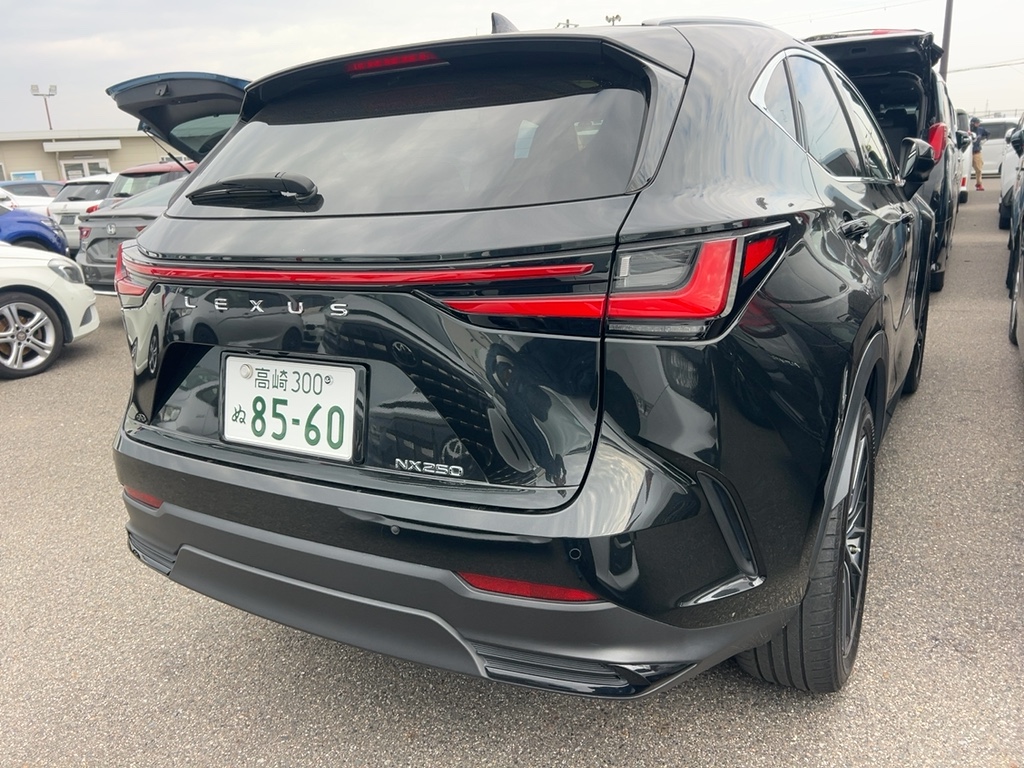 2022 Lexus NX250 2.5L VERSION L — photo 3 — for sale in Wilayah Persekutuan, Kuala Lumpur